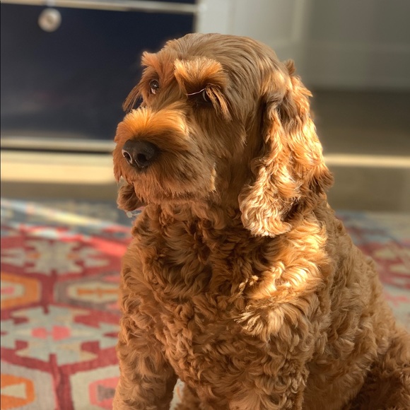 Meet your Posher, Michaela - Picture 1 of 1